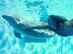 La cinta hace reflexionar sobre la amistad y la importancia de cuidar a las especies marinas. ESPECIAL  Warner Bros. Pictures  /