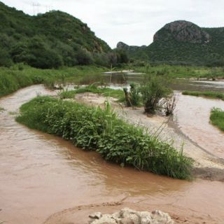 Grupo México obtiene 4.4 MDD al día y pone en riesgo vidas: diputados