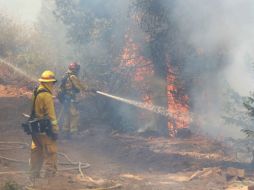 Cerca de 2 mil 500 bomberos combatían un incendio en King, que amenazaba medio millar de viviendas. AP R. Pedroncelli  /