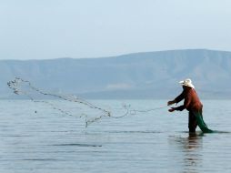 En los últimos días, el lago ha incrementado un promedio de dos centímetros diarios. EL INFORMADOR ARCHIVO /
