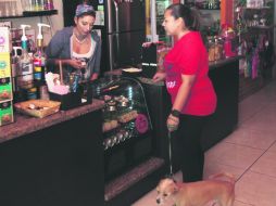 En el Café Perruno, degustar un café o una cerveza es posible en compañía de tu mascota. EL INFORMADOR E. Flores  /