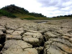 La sequía en Texas afectan tanto al sector agropecuario como a la población en general. AFP ARCHIVO /