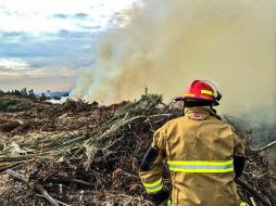 Elementos de Protección Civil continúan controlando el incendio en el vivero el Guamuchil. TWITTER @UMPCyBZ  /