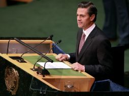 Enrique Peña Nieto en su participación en la primera Conferencia Mundial sobre Pueblos Indígenas. NTX / Presidencia