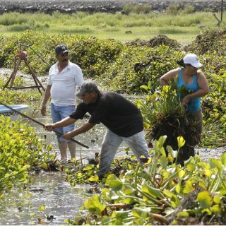 Olvidan Presa de Valencia: Observatorio