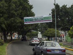 En el tramo donde se construirá la Línea 3 en Guadalajara hay mil 113 árboles de diferentes tipos y antigüedad. EL INFORMADOR / ARCHIVO