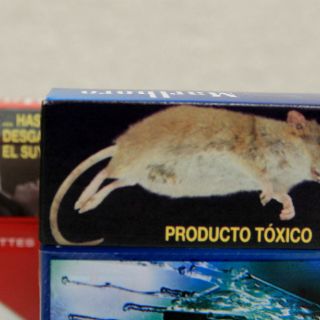 Cajetillas de cigarros tendrán nuevos etiquetados este miércoles