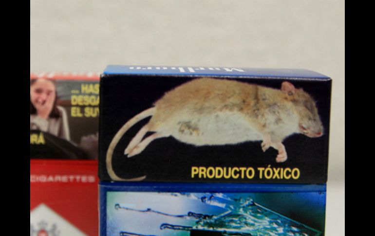 Las imágenes harán referencia al síndrome de muerte súbita infantil, el riesgo de EPOC, entre otros. EL INFORMADOR / ARCHIVO