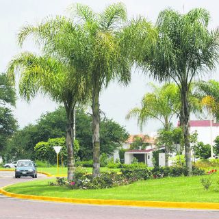 Zona Sur de la metrópoli registra los índices de plusvalía más bajos