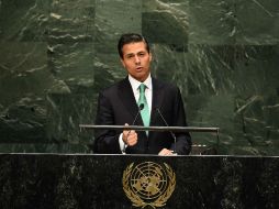 ''México tiene la experiencia necesaria en materia de asistencia humanitaria para ponerla al servicio de la ONU'', dice Peña. AFP / J. Samad