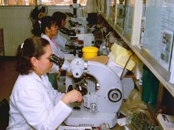 El CIBO desarrolla estudios tendientes a identificar la mutación que detona la fibrosis. EL INFORMADOR / ARCHIVO