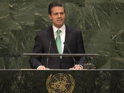 Enrique Peña Nieto participó en la 69 Asamblea General de la ONU. NTX / ESPECIAL