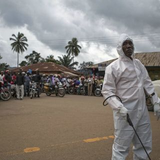 Dispersión del virus del ébola en Guinea se estabiliza: OMS