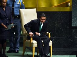 Peña Nieto anunció en la 69 Asamblea General de la ONU, la intención de México en participar en las misiones de paz del organismo. AFP / ARCHIVO