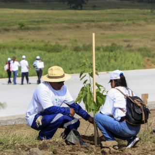 Avanza liberación de trazo del Macrolibramiento