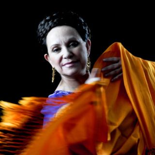 Adriana Barraza,  una actriz camaleónica