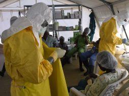 Especialistas coinciden en tener un producto totalmente probado y con licencia. AFP / P. Guyot