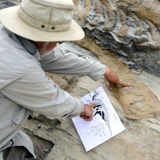 Encuentran cementerio de dinosaurios en Coahuila