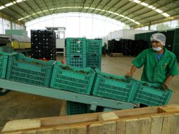 Se prevé que la tasa de fondeo interbancario permanezca en niveles cercanos al objetivo actual de 3.0 por ciento. EL INFORMADOR / ARCHIVO