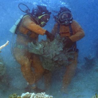 Degradación de la Gran Barrera de Coral amenaza aborígenes australianos