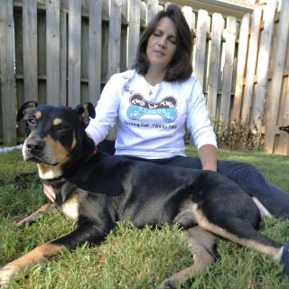 Perro llamado 'Lázaro' sobrevive a inyección letal