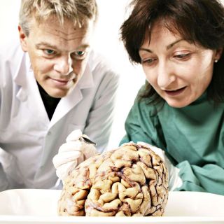 Descubridores de un 'GPS interno' cerebral, Premio Nobel de Medicina