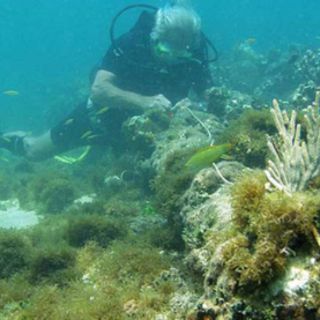 La Unesco concluye que nave hallada no es la 'Santa María'