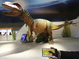 Un dinosaurio que salta, camina, ruge y juega trivia es controlado por un teléfono multiusos. AP / K Sasahara