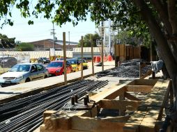 La dictaminación del plan de manejo de arbolado se realizará en coordinación con los municipios de Zapopan, Guadalajara y Tlaquepaque. EL INFORMADOR / ARCHIVO