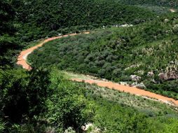 En el río Sonora fueron vertidos 40 mil metros cúbicos de químicos. AP / ARCHIVO