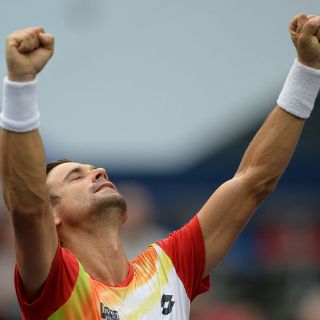 David Ferrer derrota a Murray en octavos