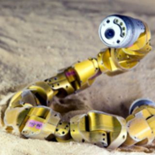 Diseñan robots que imitan el movimiento de serpientes