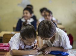 La mayoría de los planteles no fomentan que los alumnos se hagan preguntas, aspecto fundamental en la ciencia. EL INFORMADOR / ARCHIVO