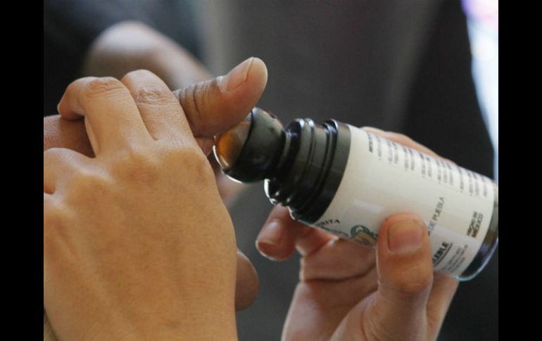 En el 2015 habrá procesos electorales en 15 entidades federativas. NTX / ARCHIVO