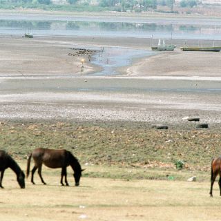 Integrarán Comisión de cuenca Laguna de Cajititlán y Río Los Sabinos
