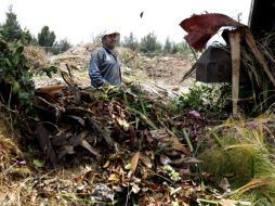 Este fin de semana iniciarán los trabajos de traslado de la astilla en vehículos de Parques y Jardines. EL INFORMADOR / ARCHIVO