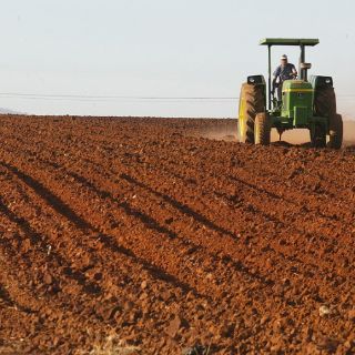Agricultura familiar, agente para seguridad alimentaria: FAO