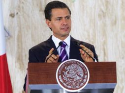 Buscan acelerar las investigaciones en el caso Iguala. EFE / G. Graff