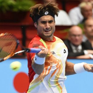 Ferrer y Murray van a cuartos en torneo de Viena