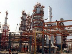 Buscan cooperar para capacitar a sus trabajadores y fortalecerse. EL INFORMADOR / ARCHIVO.