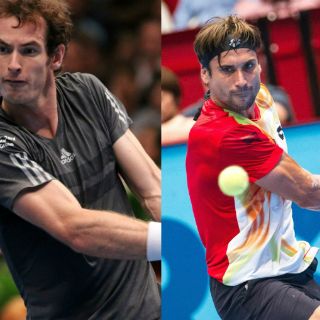 Ferrer y Murray chocarán en final de ATP de Viena