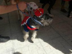 Durante el festival se ofrecieron pláticas, vacunas y hubo concurso de disfraces. EL INFORMADOR / V. Meléndez