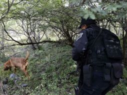 Elementos de la Gendarmería Nacional buscan a los 43 normalistas desaparecidos. AFP / R. Schemidt