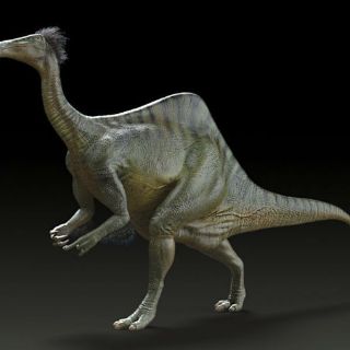 Hallan dinosaurio parecido a personaje de 'Star Wars'