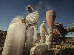 Este resultado, se debe a un alza en actividades primarias de 7.6%, en secundarias de 1.4% y en terciarias con 1.0 por ciento. NTX / ARCHIVO