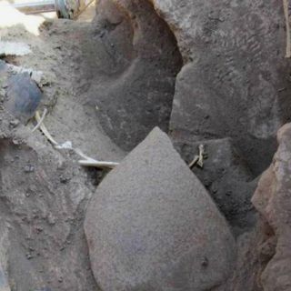 Paleontólogo aficionado descubre fósiles de 500 mil años: Argentina