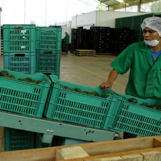 Balanza comercial de México registra superávit