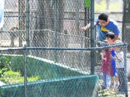 Villa Fantasía. Al año 78 mil niños de escuelas acuden a ver los animales, por lo que con la transformación seguirán siendo prioridad. EL INFORMADOR /