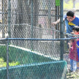 Confirman transformación de Villa Fantasía