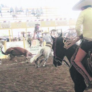 Tamaulipecos 'A' es el primer líder
